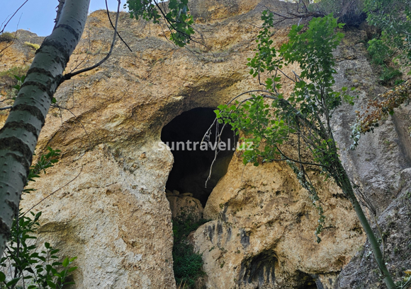 Добавить подзаголовок (1)